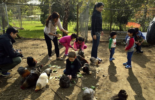 Diamond Forest Farm Stay - Foto 20