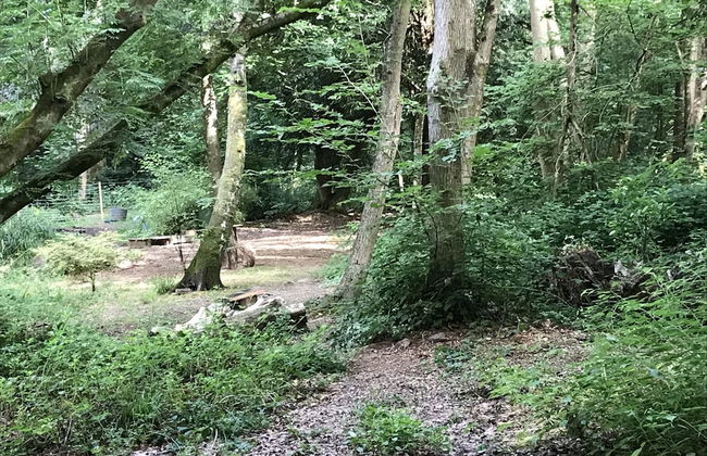 Private and Secluded Cabin in Rowfant - Foto 24