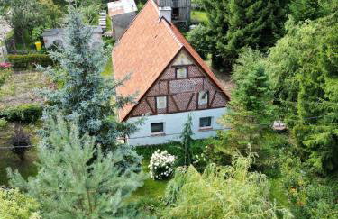 Świerkowe Ranczo Raciszewo - Foto 60