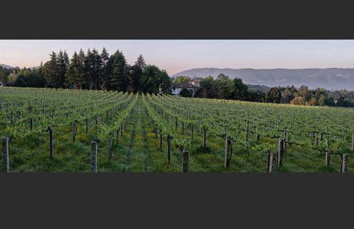 Solar de Serrade - Foto 28