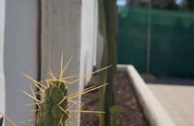 Oasis Pool in the Desert BBQ and Garden - Foto 7