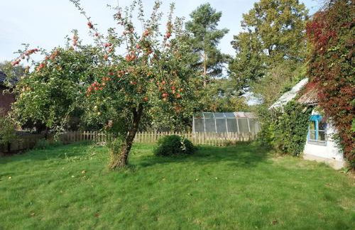 Ferienwohnung Naturglück - Foto 11