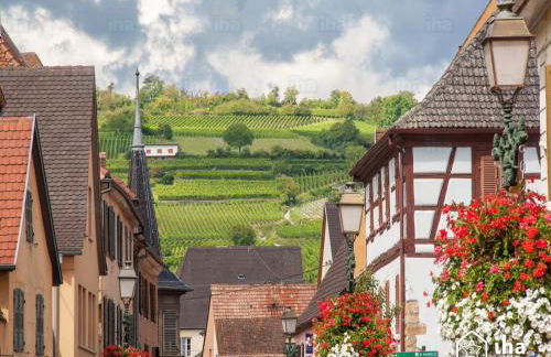 Coup de cœur en Alsace ! Idéal visites, randonnées au Gîte de la Muse, proche Colmar - Foto 11