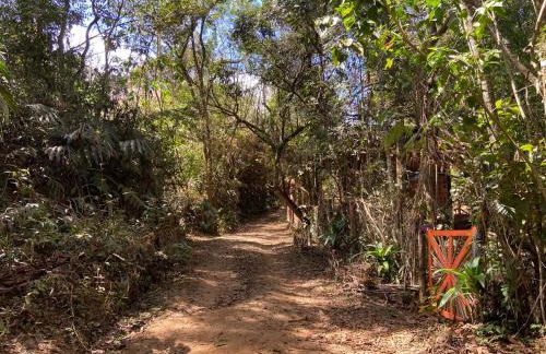 Chalé na Floresta - Refúgio Natural - Photo 40