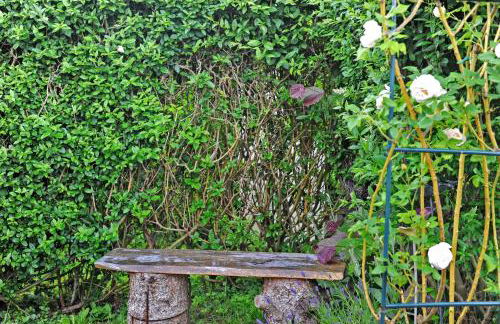 Ruheoase Kummerower See - Foto 24