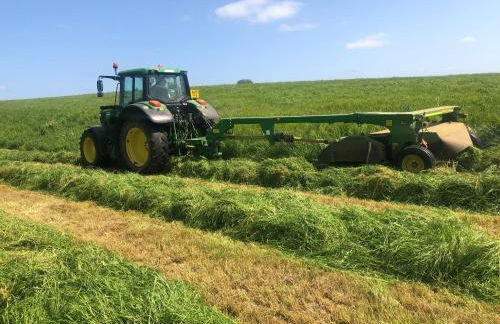 Moo Cow Cottage Self Catering - Photo 18