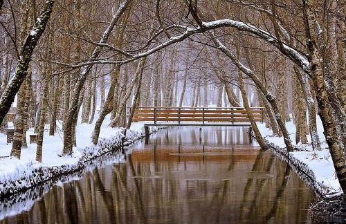 Casa Manuel I Sabugueiro - Foto 39