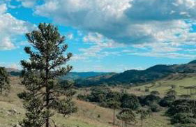 Winter Valley Cabins - Foto 25