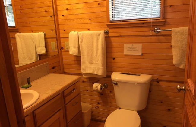 Frio Springs Lodges - Photo 33