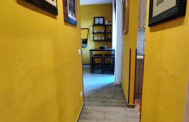 I levrieri Colombo - Foto 20