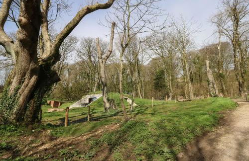 The Transmitter Bunker - Photo 30