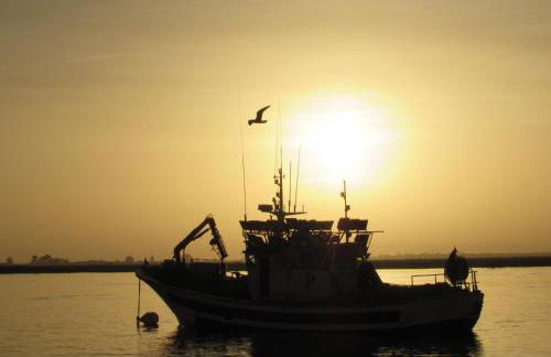 Apartamento La Figuereta, Isla Cristina - Foto 29