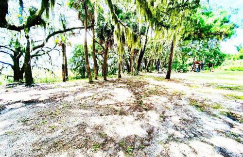 Secluded Tiny House by the Marsh with Hunting Island Beach Pass - Foto 22