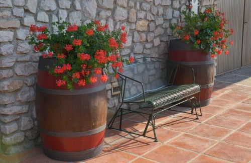 Agriturismo Kogoj - Foto 29