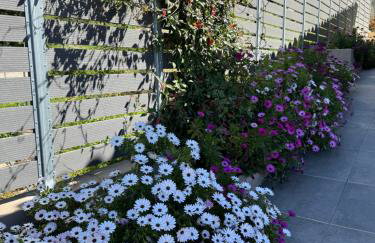 Villa Athina - Foto 42