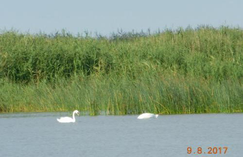 Wooden House Near Baltic Sea Beaches - Photo 33