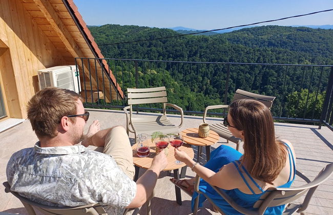 Vineyard cottage Kraljevi kotiček - Foto 20