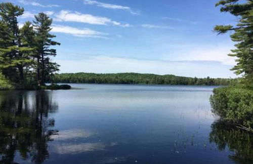 Sandy Hollow - Photo 34