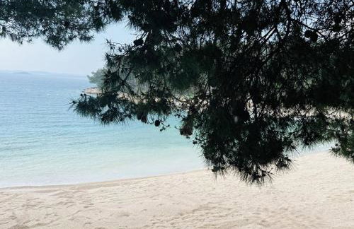 Serenity Mobile House - Foto 62