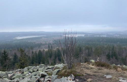 Ferienwohnung An den Galgenteichen - Foto 11