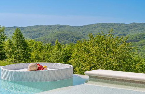 Stunning Home In Hum With Sauna - Photo 12