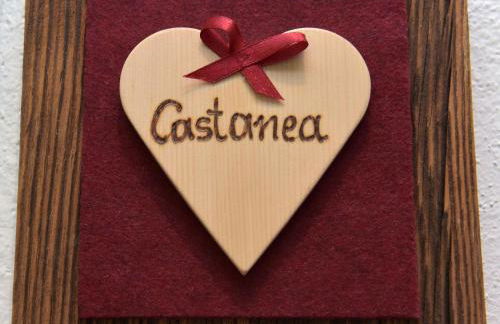 Pignathof Castanea - Foto 16