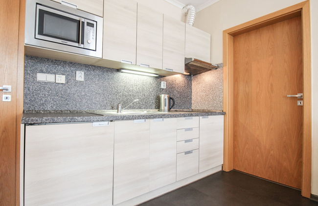 Resident Harrachov B - Foto 12