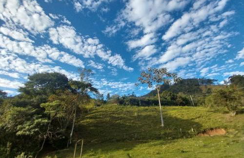 Chácara das Araucárias - Foto 61