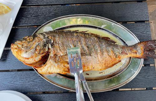 Papiri Beach - Foto 14