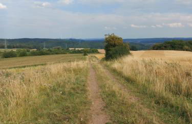 Ferienhaus Hinrichs - Foto 36