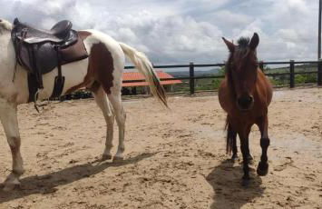 Flat Monte Castelo - Comodidade incrível 2 - Foto 9