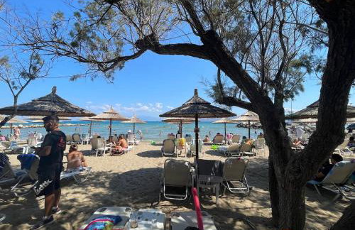 Luxury Apartment in Kato Assos - Villa Orangerie - Foto 32