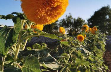 Holiday home Iva with pool - Foto 14