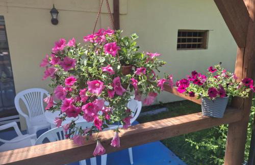 Agroturystyka Przy Rajskim Sadzie - Foto 10