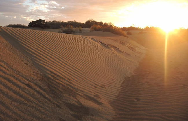 Relaxia Los Girasoles - Foto 77
