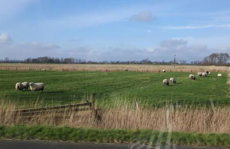 Urlaub Nord-Ost - Foto 27