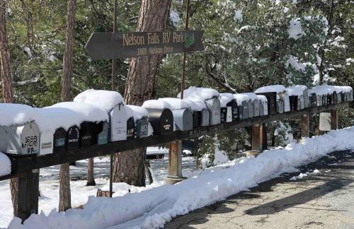 BunkHouse 1960's Camp Vibe with Timeless Wet Bar - Foto 7