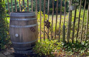 Ferienwohnung an der Berkelquelle - Foto 30