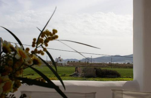 Sunny House - Foto 24