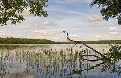 2 Bedroom Gorgeous Home In Stechlin - Foto 9