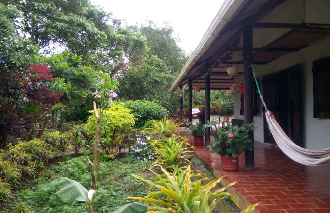 Bosquefrut - Foto 15