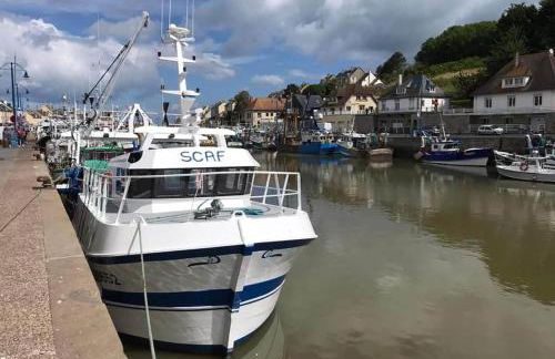 Appartement lumineux et cosy avec jardin vue sur chateau près Port en Bessin, Bayeux et Omaha Beach - Foto 55