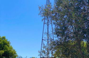 Idyllic, Charming Quinta das Laranjeiras - Foto 17