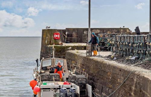 2 Bed in Johnshaven AN48M - Photo 25