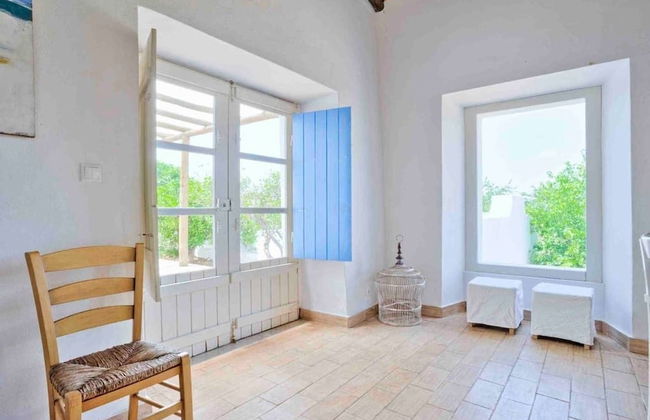 Morgado do Quintao - Foto 40