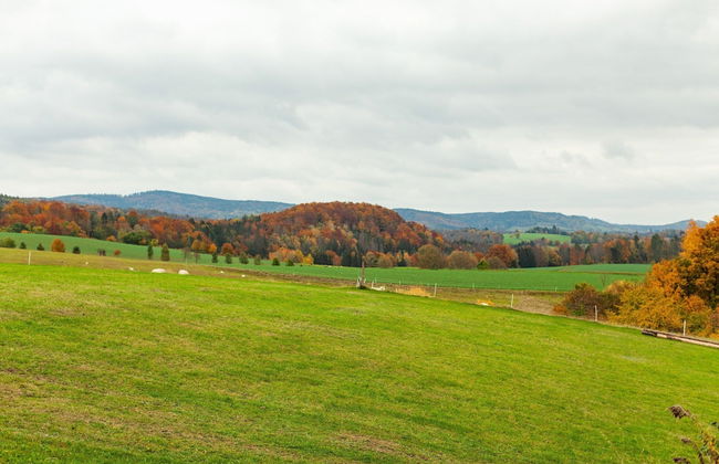 Peaceful Apartment in Lichtenhain With Private Terrace - Foto 68
