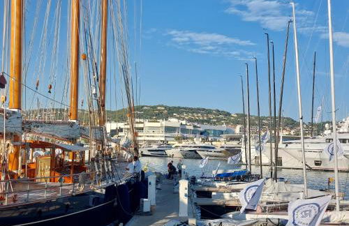 Place du Suquet - In the hart of old Cannes - 2 Min Walking distance from Palais de Festivals and Beaches - Photo 48