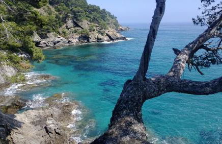 Le Mas des Vignes - Foto 14