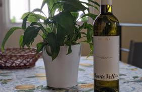 Levada Nova House - Foto 48