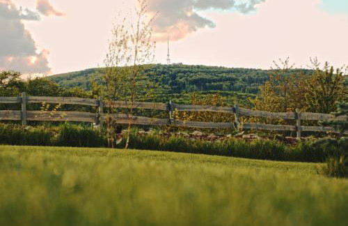 Bliżej Ślęży Domki pod Ślężą - Photo 38